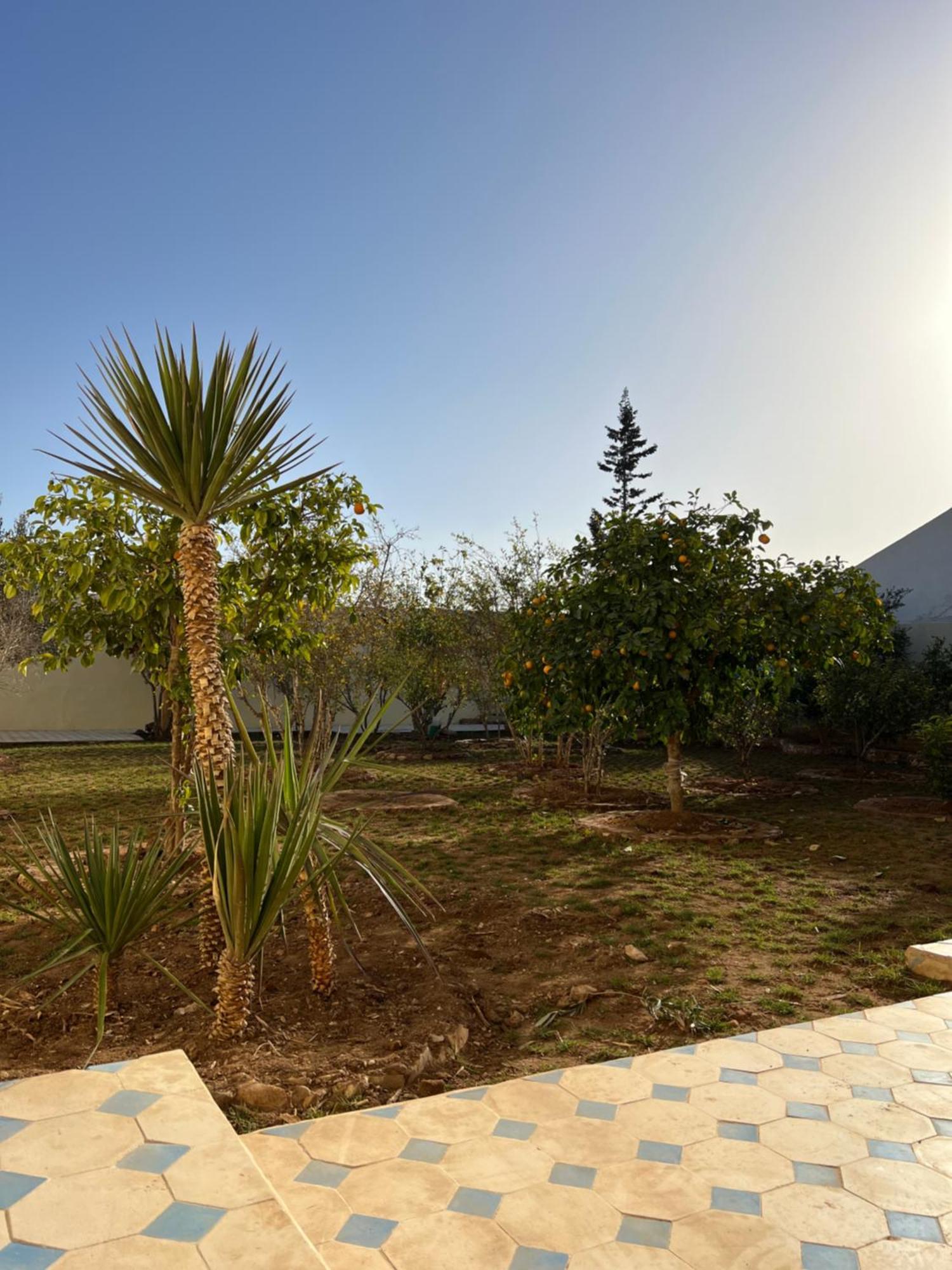 Single Fin Taghazout Surf & Stay Exterior foto